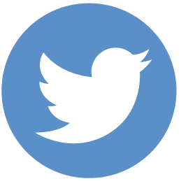 Icono de Twitter INMEYS